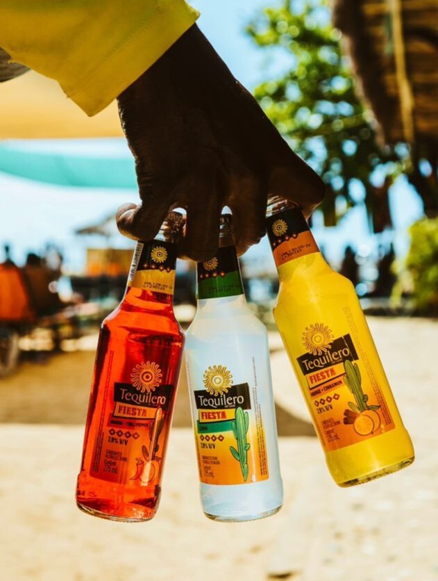 TEQUILERO DEL LESTE Agave Appetizer, Agave-Based Drinks, Ready to Drink (RTD) Ice Cocktail with Agave and Fruits (Carbonated) Image