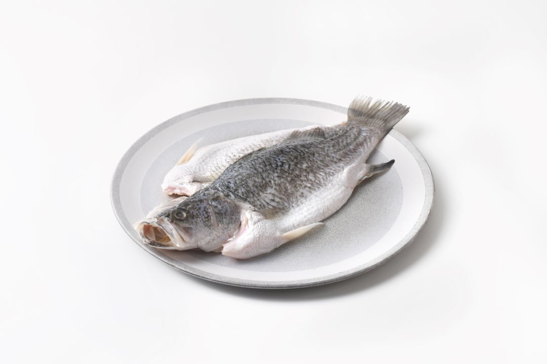 Barramundi Fillet Image