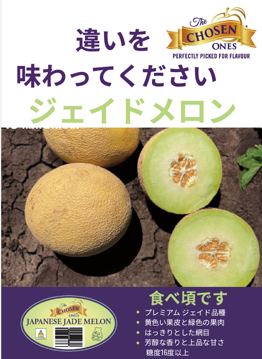 Asian Netted Melons Image