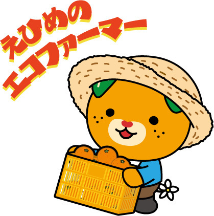 Unshu Mandarin Image