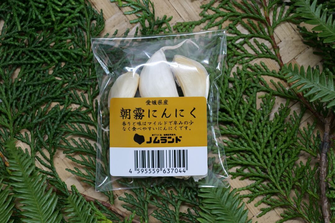 Asagiri Garlic Image