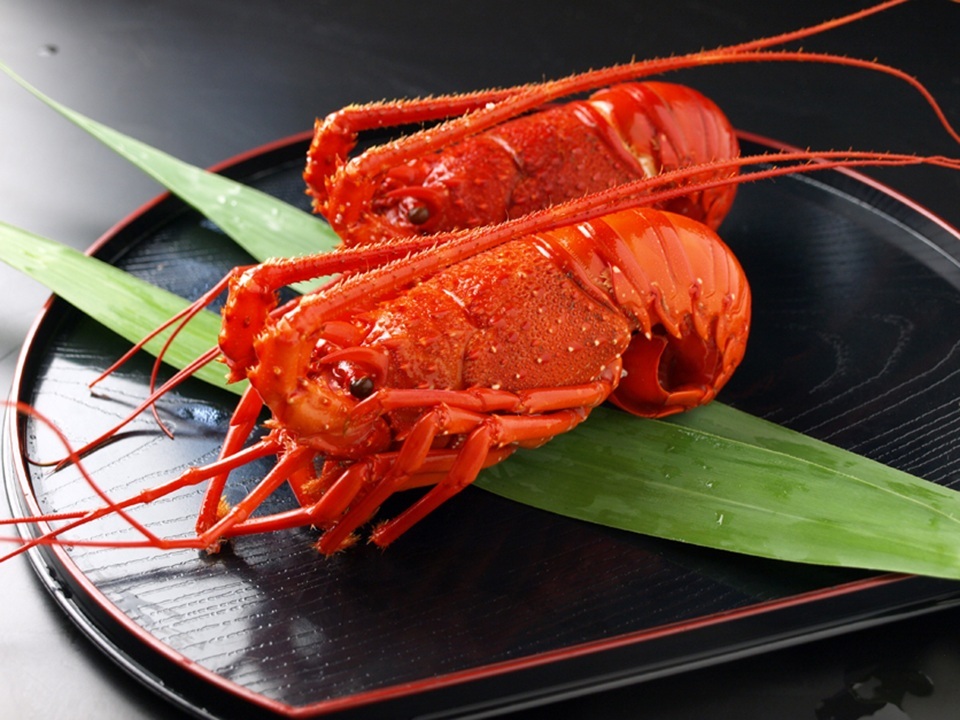 生冷伊勢えび（リキッドフリーザーによる急速凍結、凍眠） イメージ