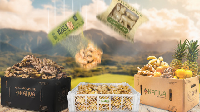 FRESH PRODUCTS  Image