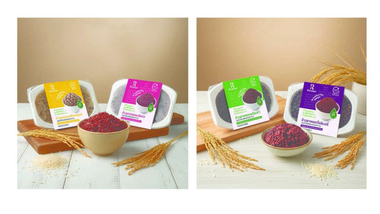 Cooked Germinated Riceberry Rice Image