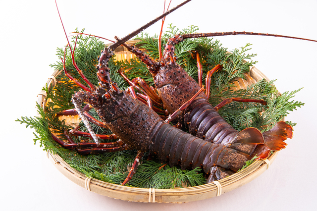 いせえびカレー イメージ