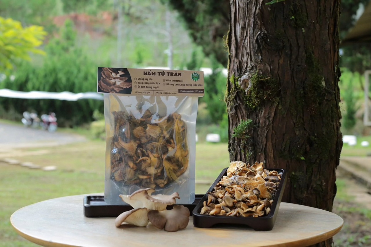 生鮮きのこ、冷凍きのこ、乾燥きのこ、きのこパウダー、きのこスナック イメージ