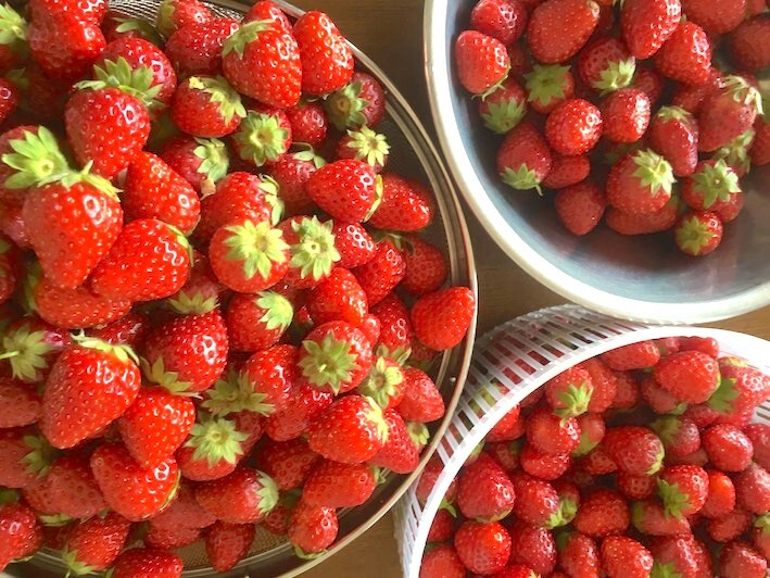 Egg-Free Strawberry Cookies: Made with Nara's Exclusive "Kotoka" Strawberries (8 Pieces) Image