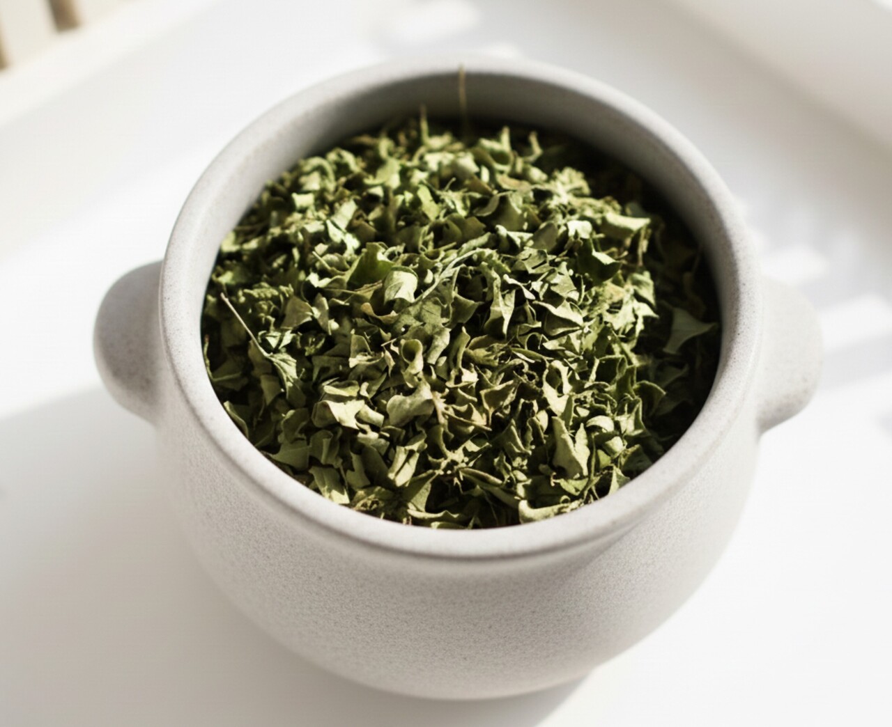 有機栽培モリンガ イメージ