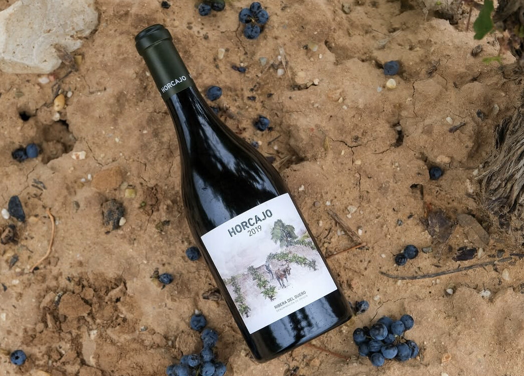 CEPA21（セパ ニジュウイチ） イメージ