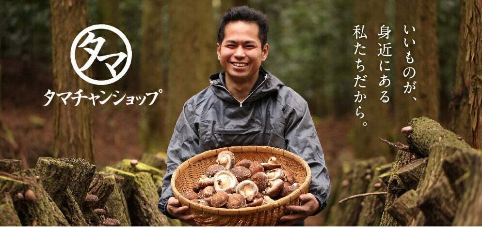 Shiitake Mushroom Powder Image