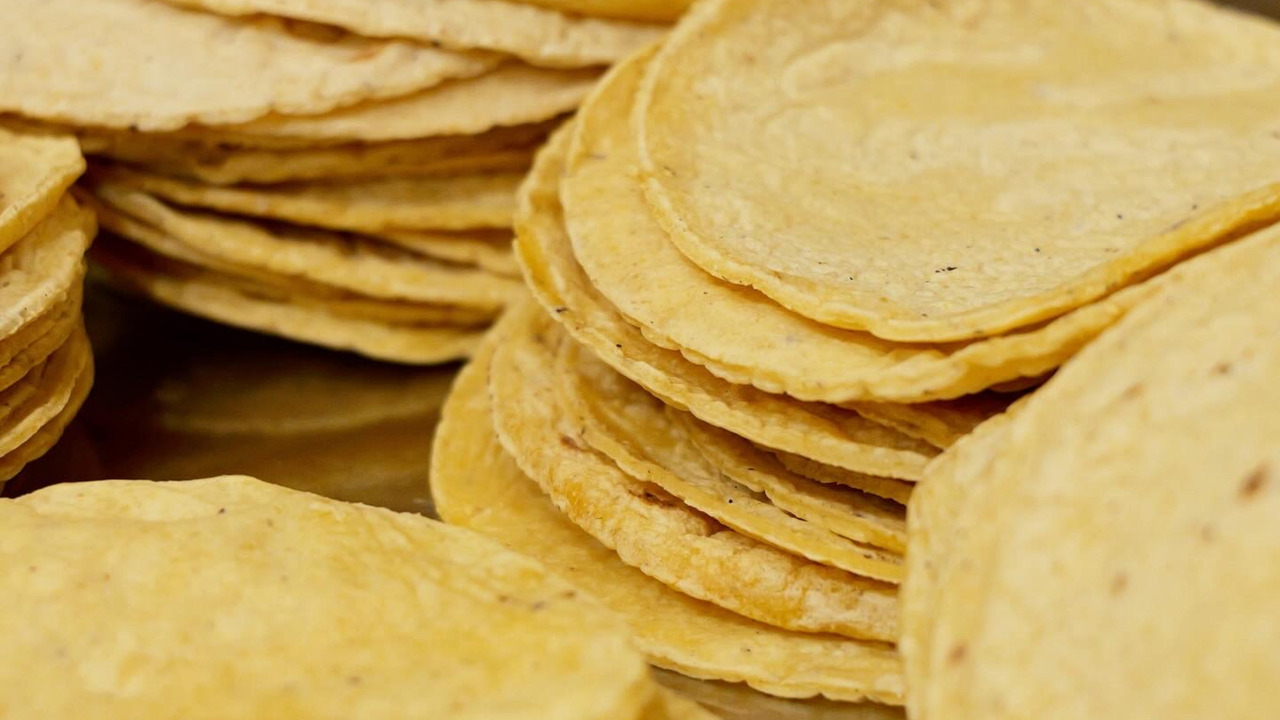 Yellow corn tortillas Image