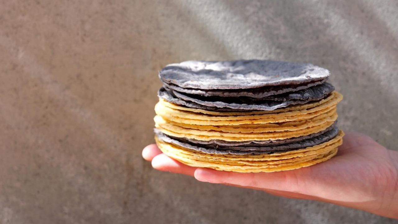 Blue corn tortillas Image