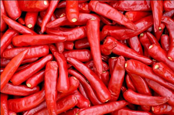 ICHIMI(CHILI pepper) Image