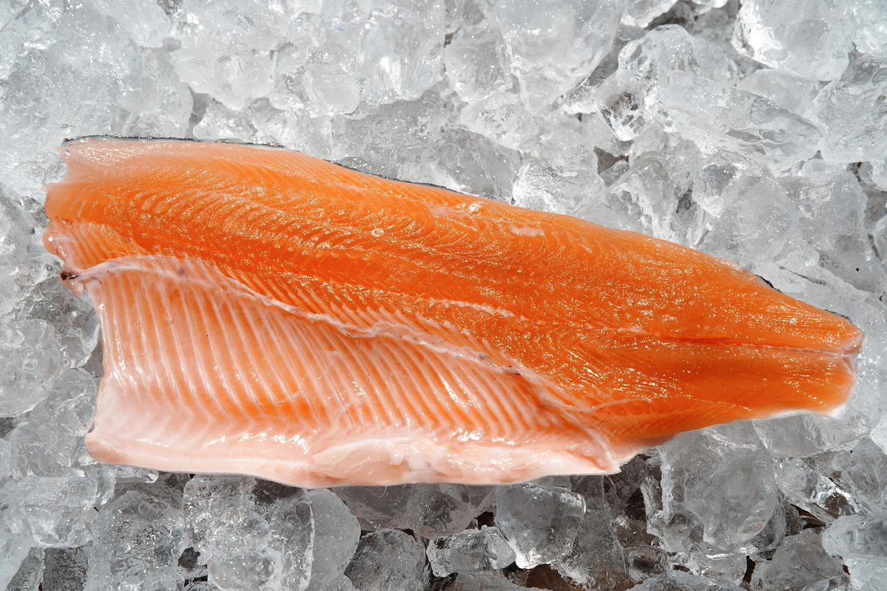 本桜鱒 イメージ