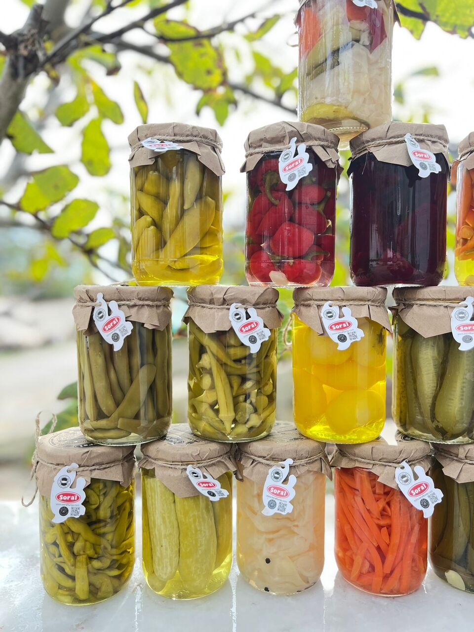 瓶詰めピクルスの種類 イメージ