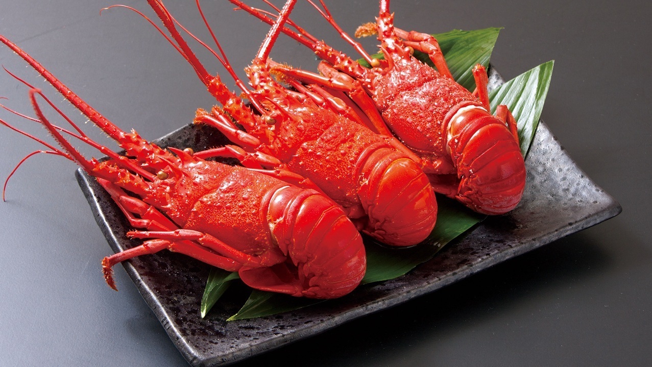 Japanese spiny lobster Image