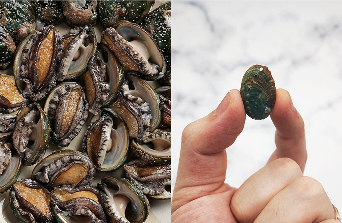 Gourmet Mini Abalone Chili Sauce Image