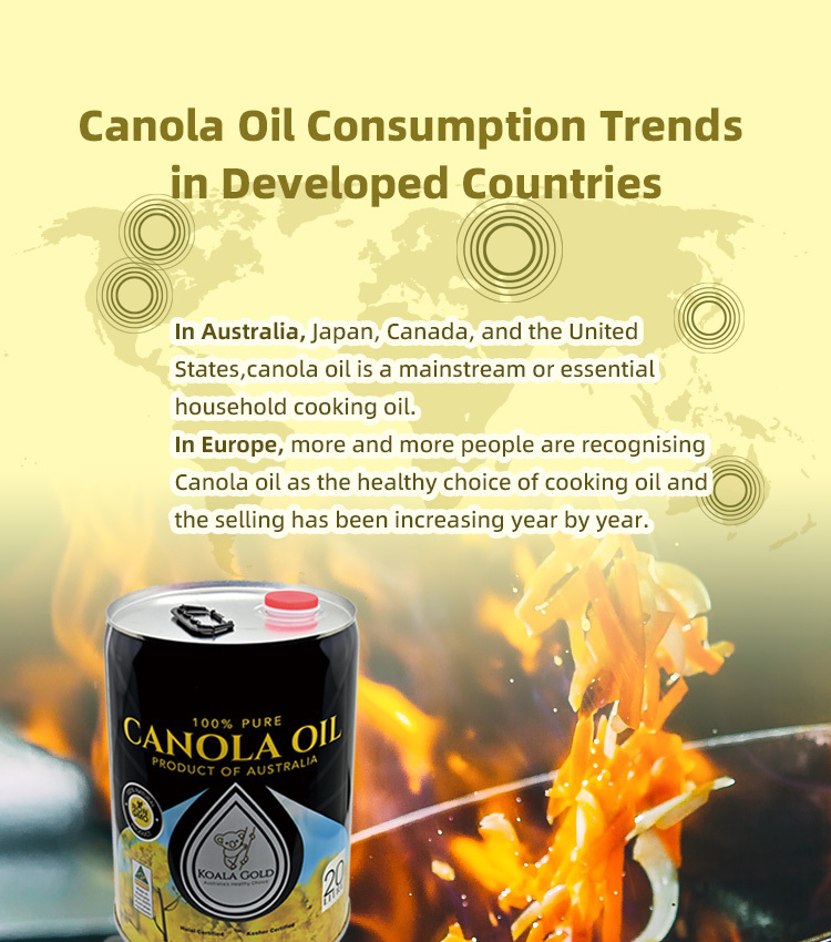 KOALA GOLD CANOLA OIL 20L  イメージ