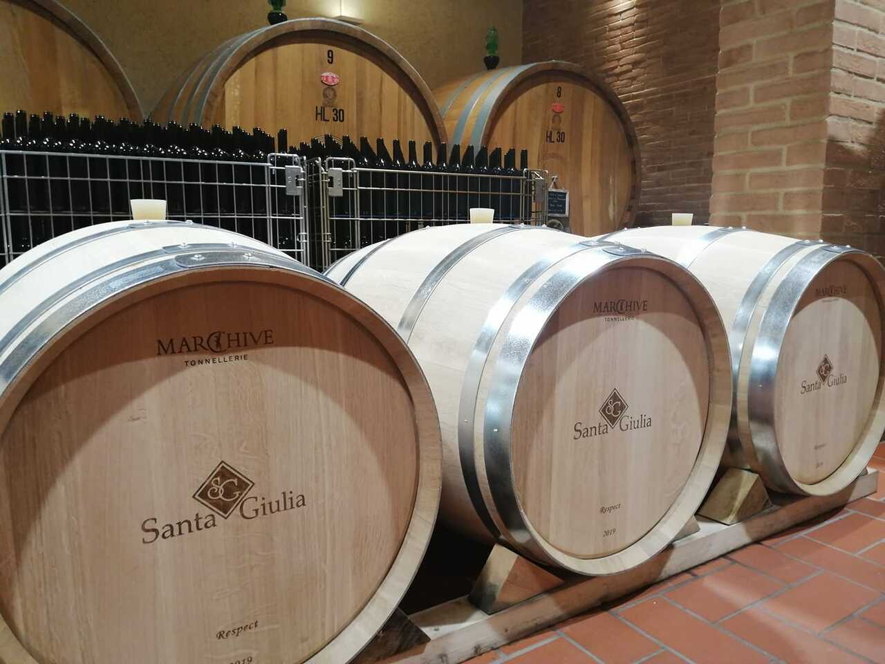【ワイン】サンタ・ジュリア SANTA GIULIA イメージ