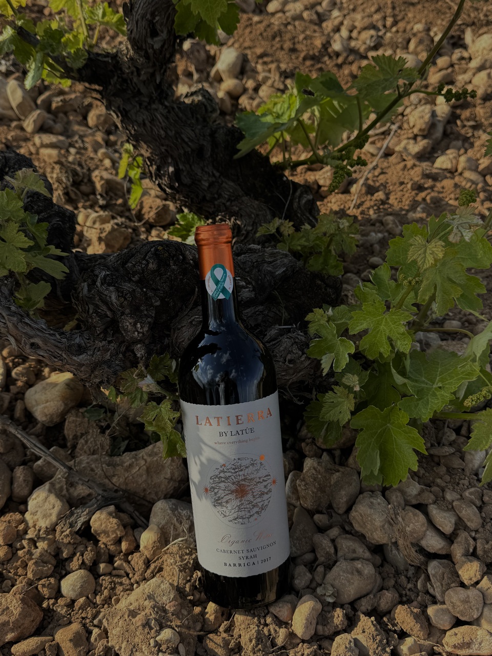 LATIERRA SPECIAL SELECTION Image