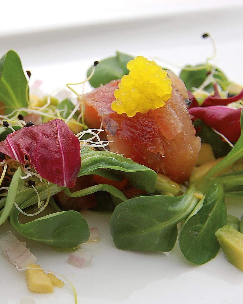 YUZU PEARLS® 50g by CATALIMENT PEARLS® Image