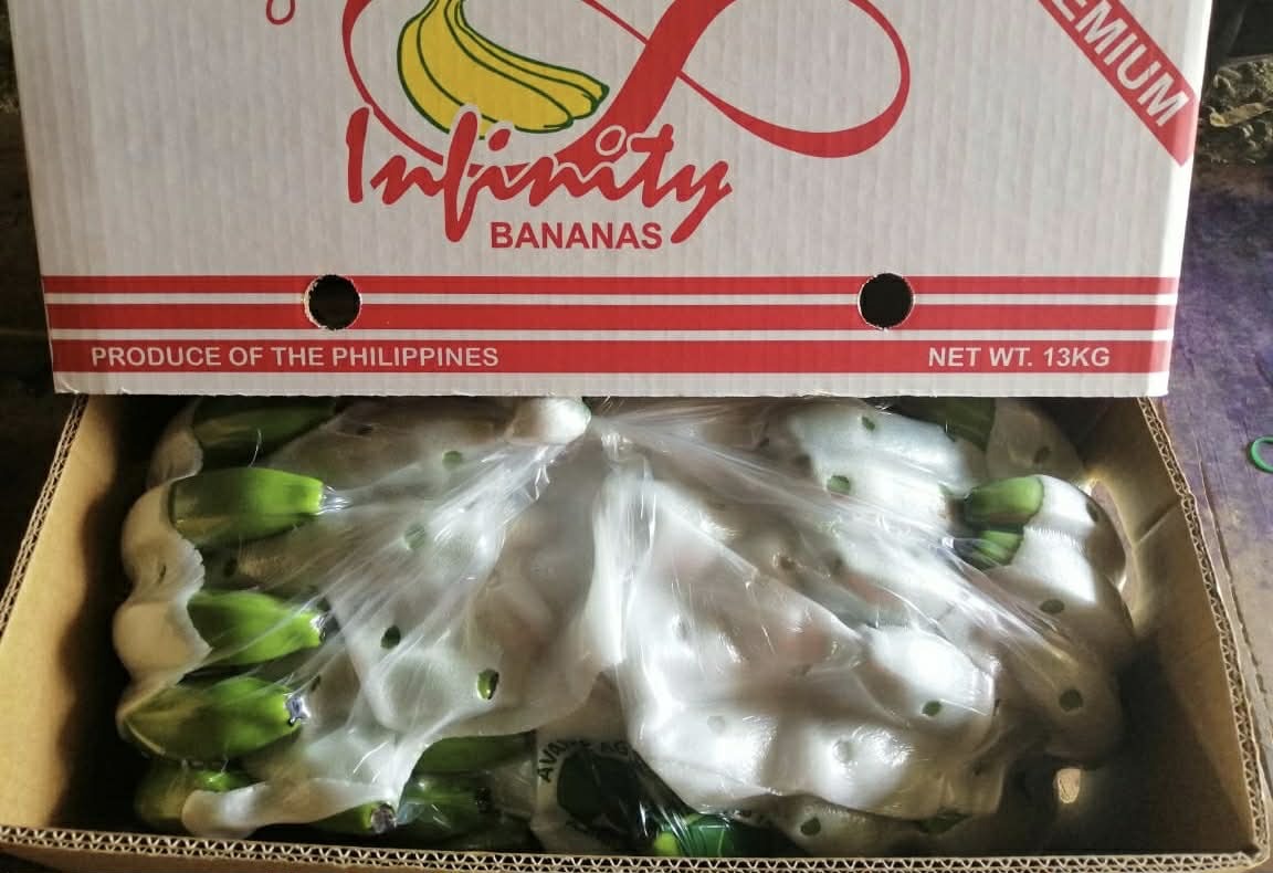 FRESH CAVENDISH BANANAS Image