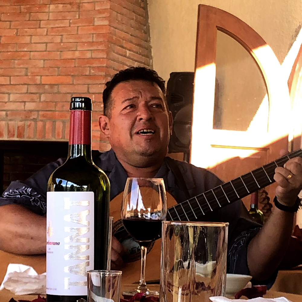 【ワイン】バルバカーナ　BARBACANA イメージ