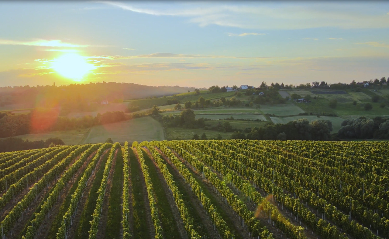 【ワイン】フェデラリストFEDERALIST イメージ