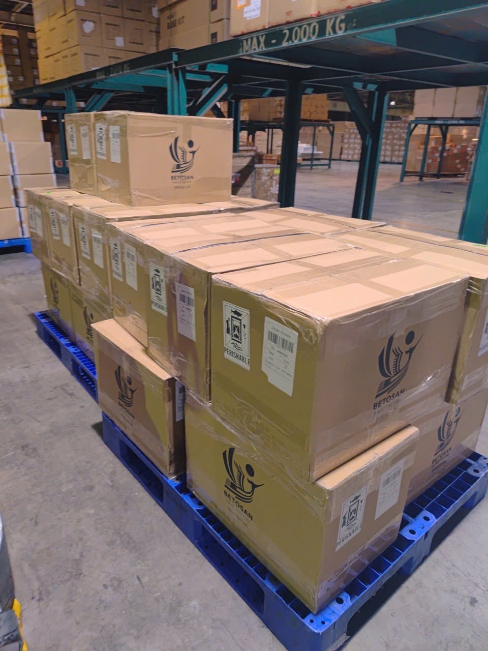 海ぶどう（生海ぶどう、塩漬海ぶどう） イメージ