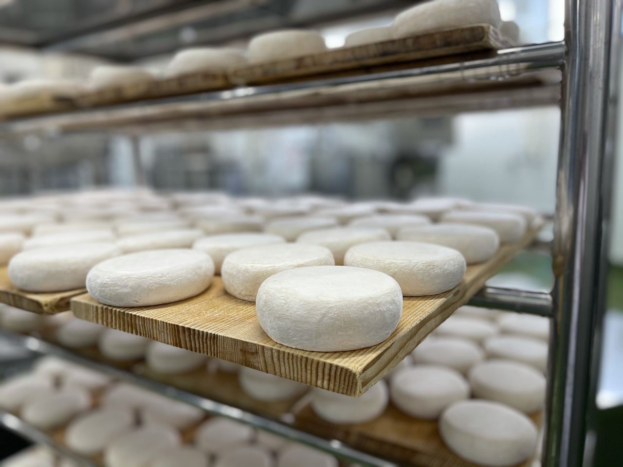 大地のほっぺ / 大地のほっぺミニ イメージ