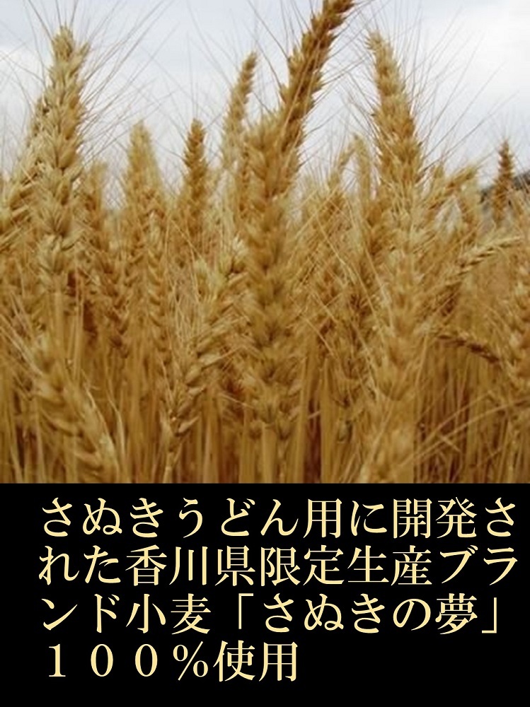 うどん県のうどん イメージ