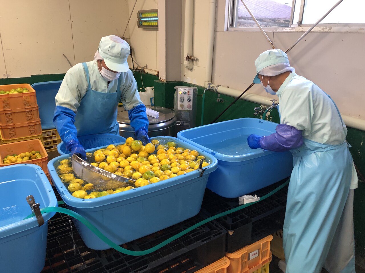 ゆず一味 イメージ