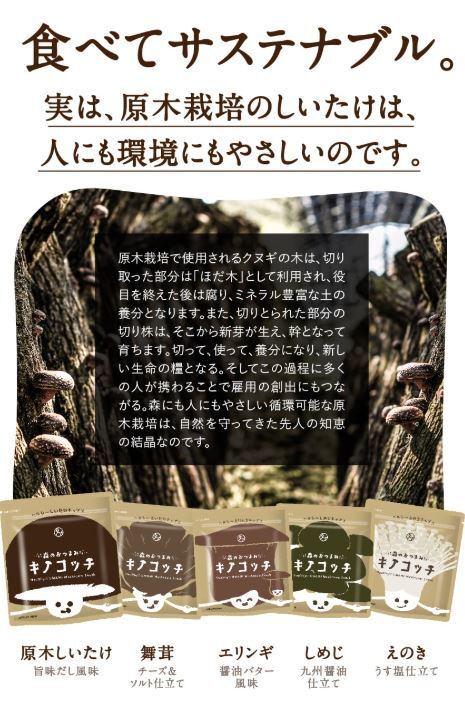 キノコッチ イメージ