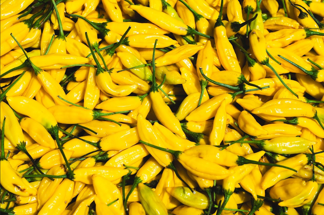 とうがらし（青果　唐辛子） イメージ