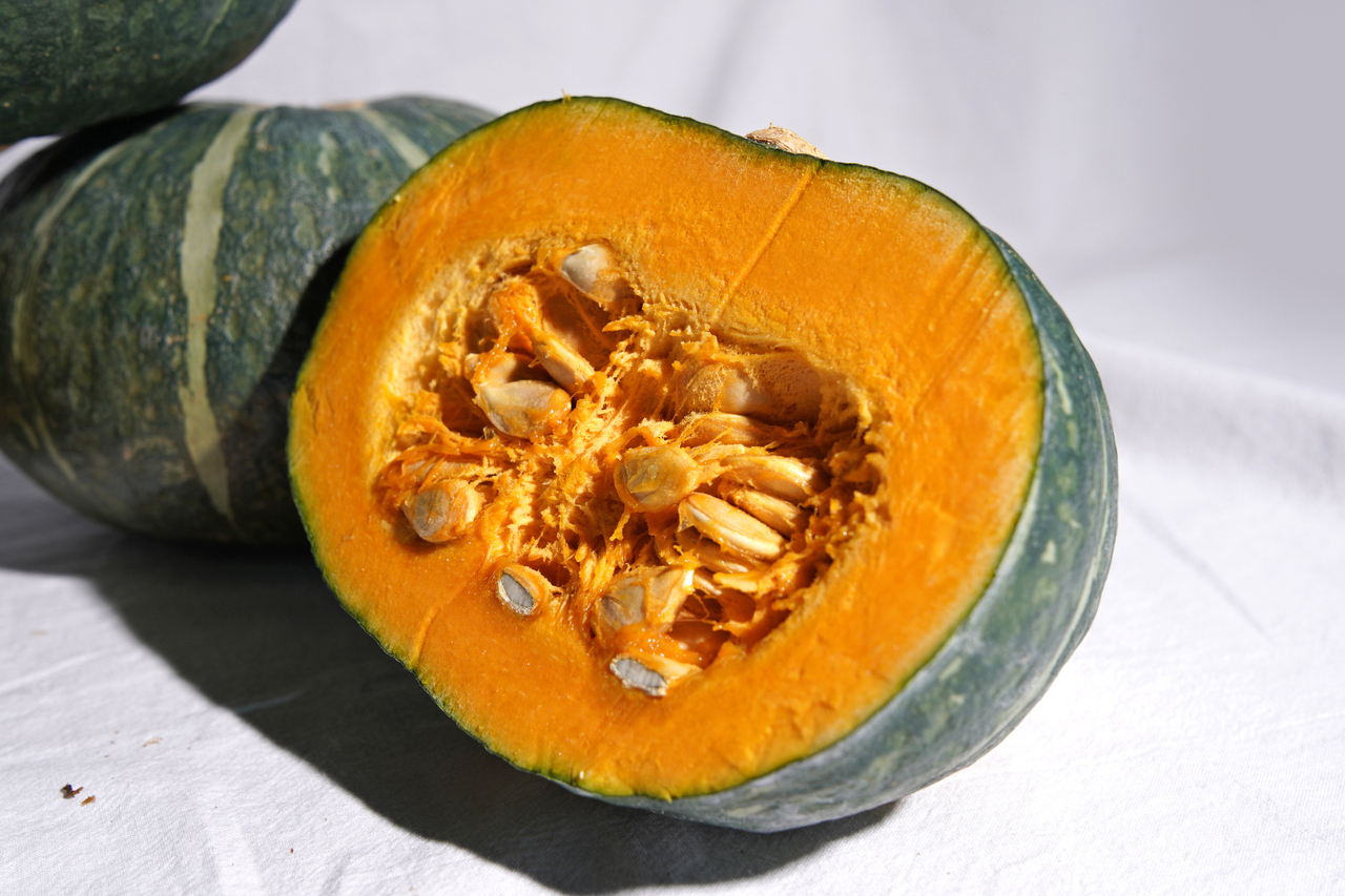 南瓜 イメージ