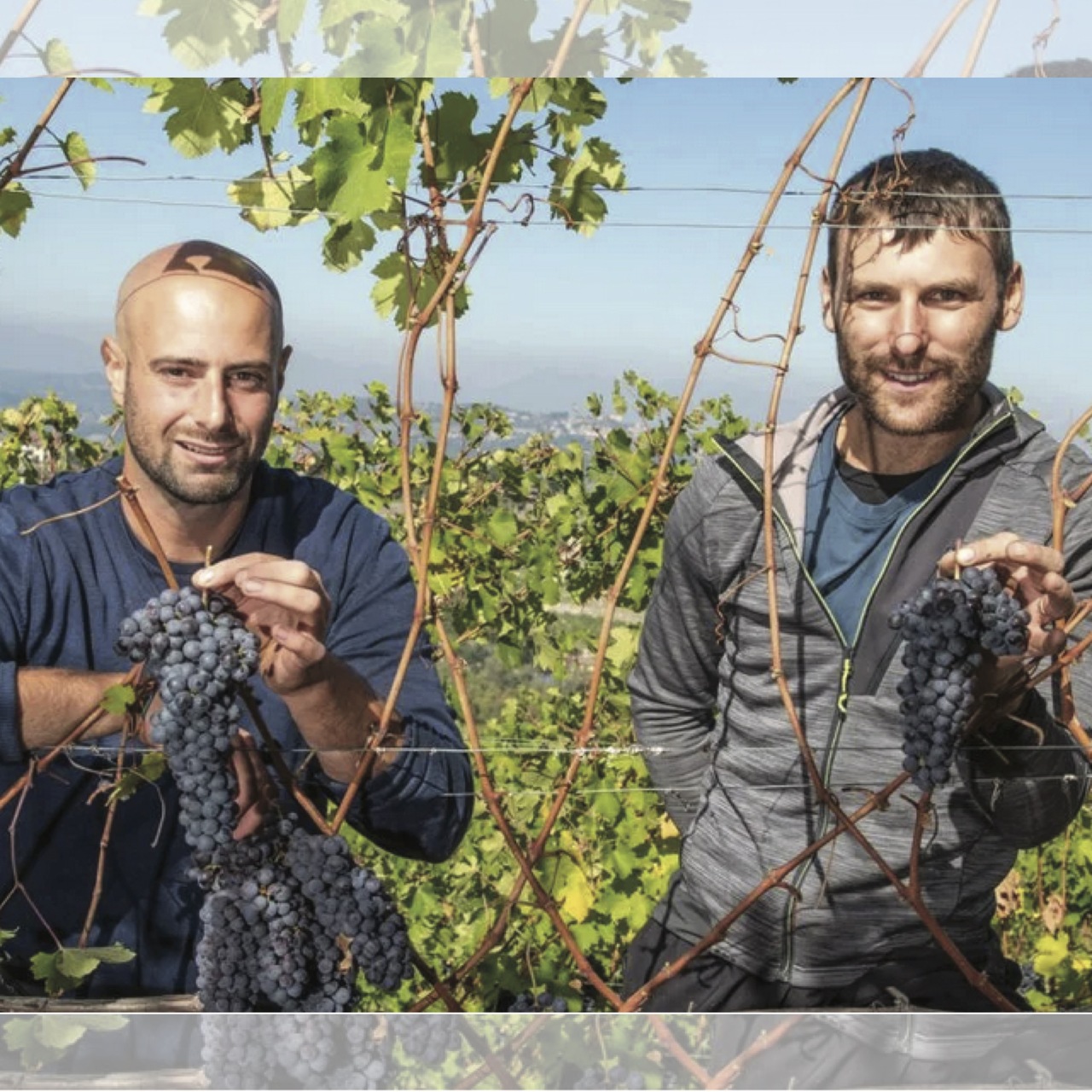 Bricco Ciarla Barbaresco San Stunet DOCG  Image