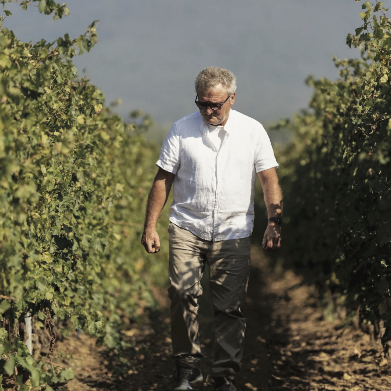 Giovanni Persico Apparso Toscana Red IGT Image