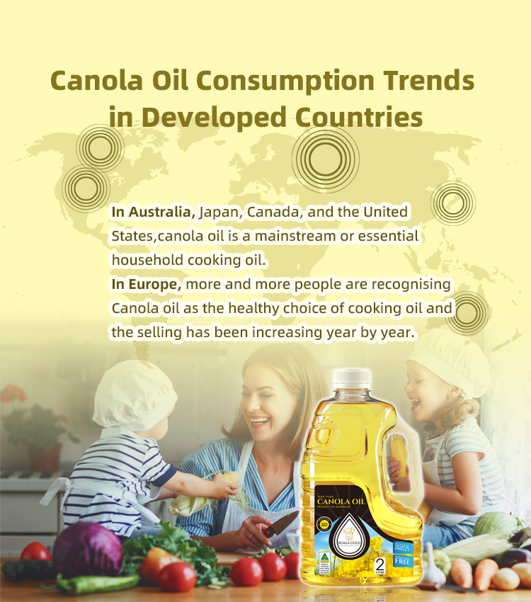 KOALA GOLD CANOLA OIL 2L-Handle Image