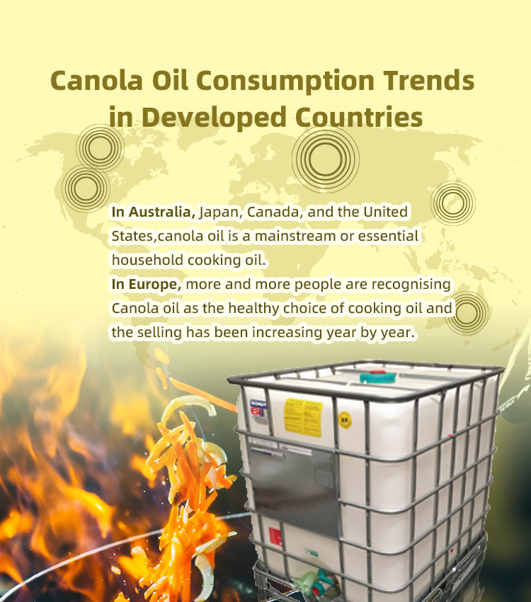 KOALA GOLD CANOLA OIL 1000L Image