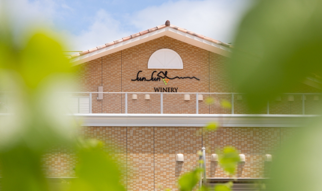 柿沢ロゼ2024 イメージ