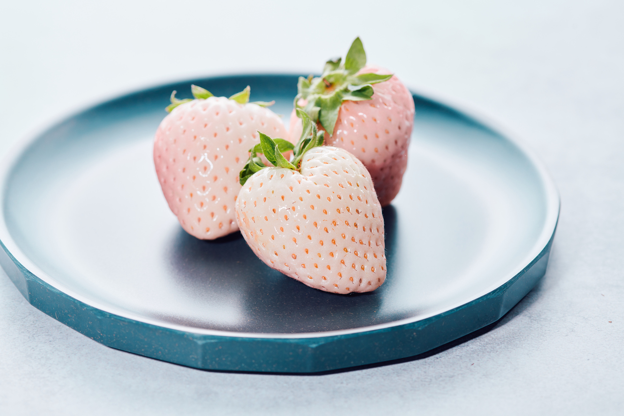 SAKURA DROPS イメージ