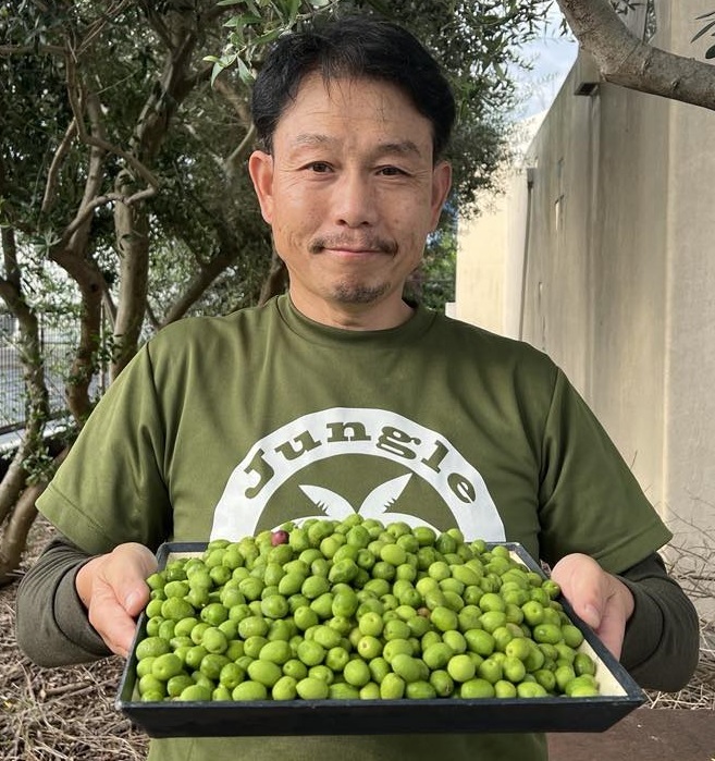 クラフトオリーブオイル　100ml イメージ