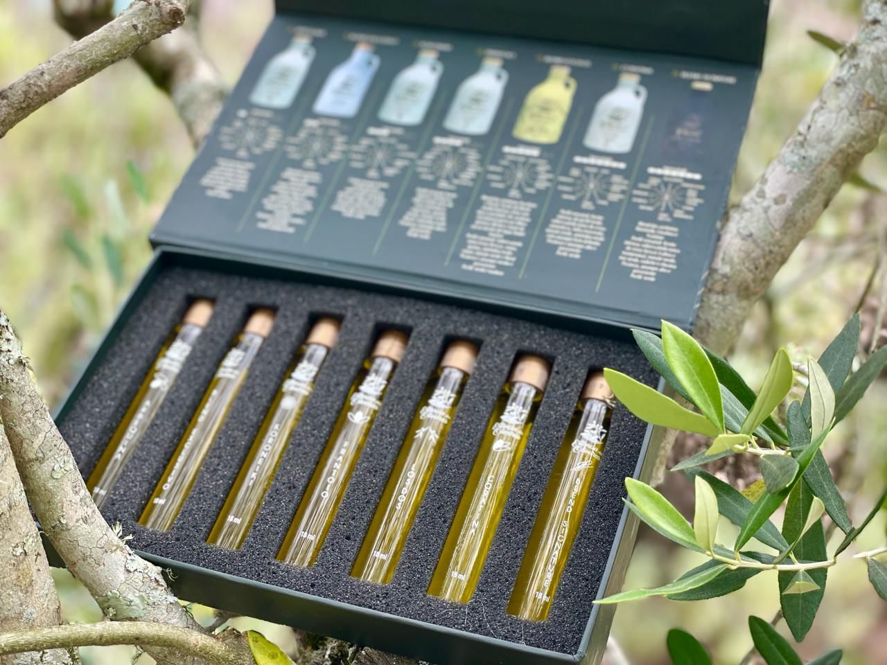 プレミアム・エクストラバージン ピクアル イメージ