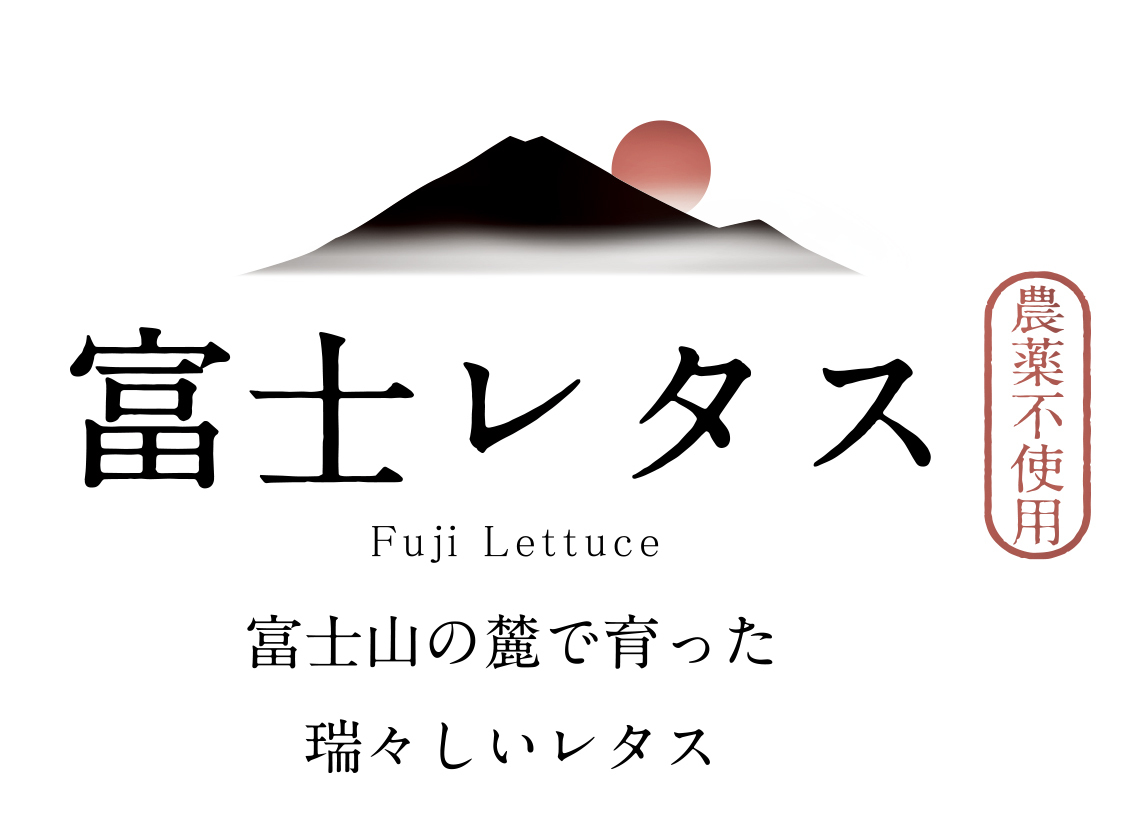 富士レタス・小林クリエイト イメージ