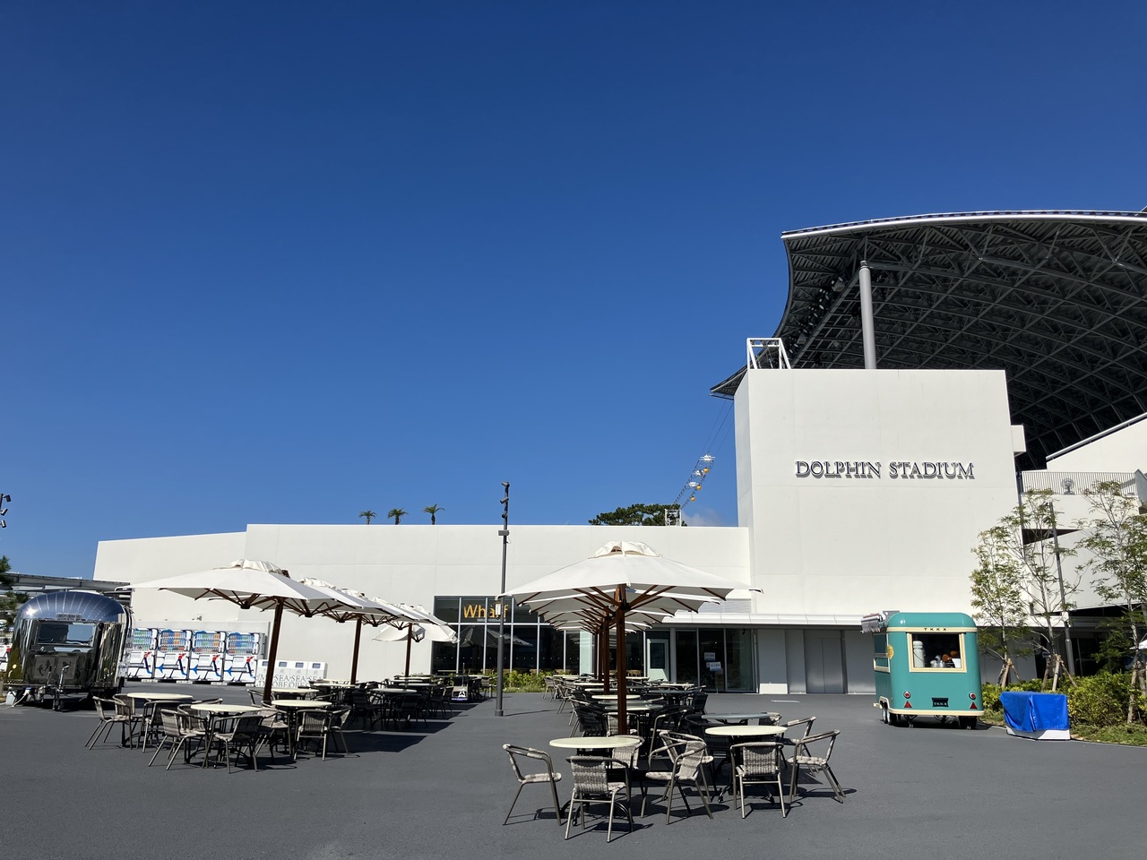 デュアルウッド-T Image