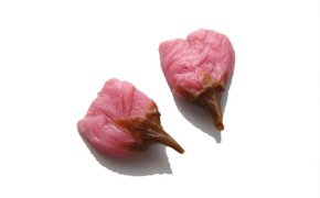 冷凍桜の花 Image