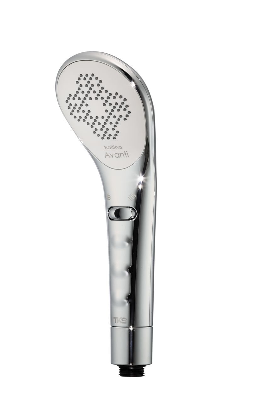 ボリーナアヴァンティ、ボリーナアヴァンティビズ Image