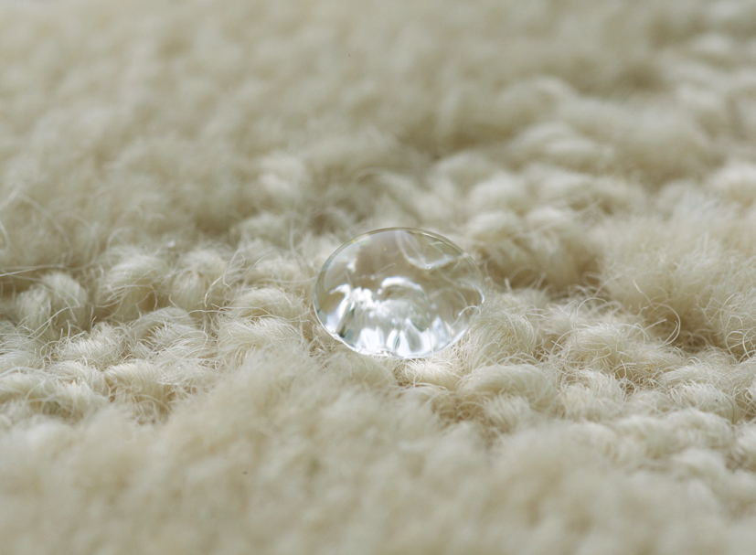 パールトーン加工（撥水・防汚）・ラーフエイド（抗菌・消臭・抗ウイルス） Image