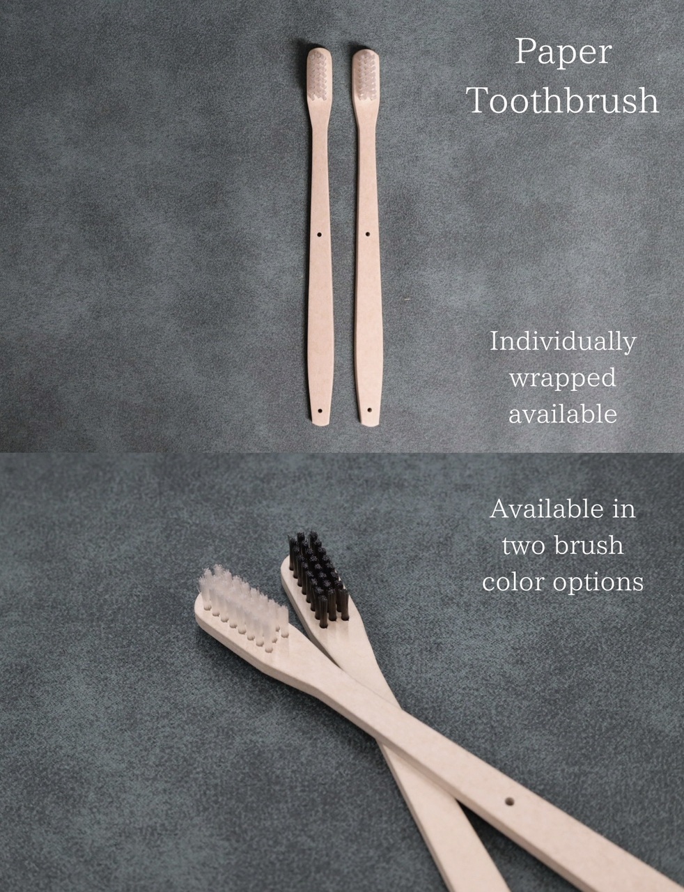 Paper Toothbrush 　Paper Comb 　Paper Shoehorn Image