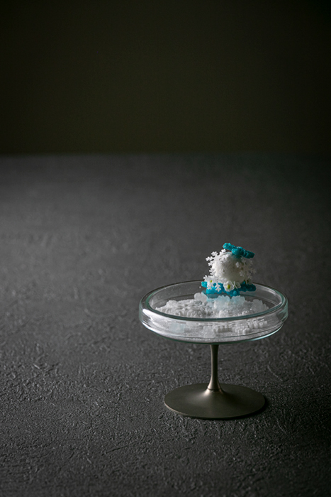 CUP&RINGS ショート Image